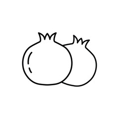 pomegranate icon vector fruit icon