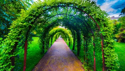 Papier Peint photo Lavable Route en forêt Beautiful green plant arches over the pathway in the garden