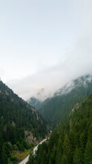 Fototapeta na wymiar Mountain covered with forests. Aerial view forest. The mountain range is a natural protected area. A cloud has fallen over the forest