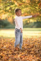 little child playing in autumn park