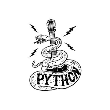 hand drawn python and guitar logo designs