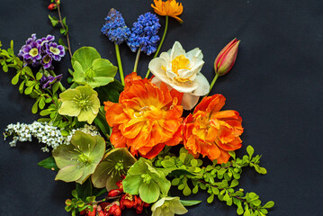 spring flowers on the black background
