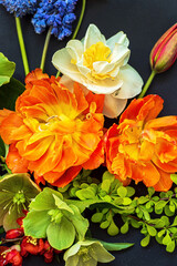 spring flowers on the black background