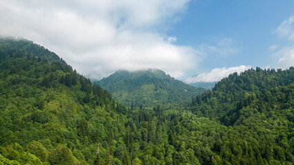 Fototapeta na wymiar Mountain covered with forests. Aerial view forest