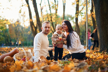Two parents are sitting with cute little boy in the autumn park on the fallen leaves and butternut...