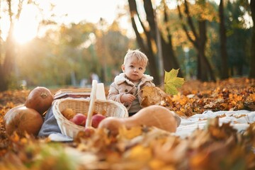 Little boy is sitting in the autumn park with butternut squash