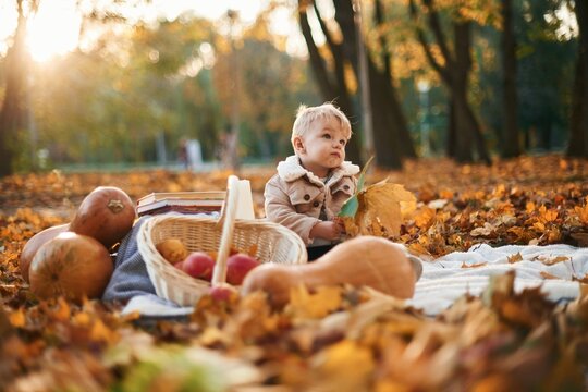 Little boy is sitting in the autumn park with butternut squash