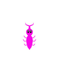 pink insect on a white background