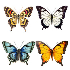 collection Butterflies on white background.