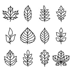 Autumn leaves silhouettes. Vector illustrations. Isolated on white background. Flat style. Simple plant outlines for paper or laser cutting and printing on any surface. - obrazy, fototapety, plakaty