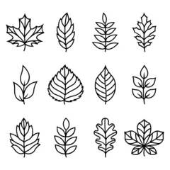 Foto op Plexiglas Autumn leaves silhouettes. Vector illustrations. Isolated on white background. Flat style. Simple plant outlines for paper or laser cutting and printing on any surface. © Volha Shybut