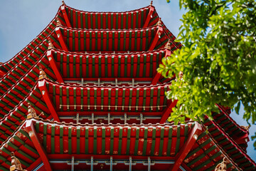 Traditional Chinese Pagoda Roof with Green Tree