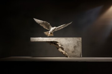 Holy Spirit over a broken piece of cement. Christian concept of faith and hope - obrazy, fototapety, plakaty