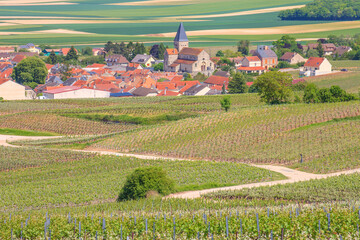 Village de Sacy, Champagne, Marne	 - 672250107