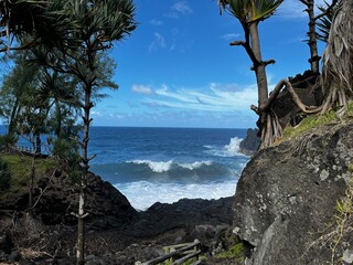 Obraz premium Sud sauvage de la Réunion