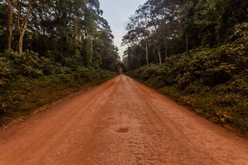 Fototapeta na wymiar Road in Kakamega Forest Reserve, Kenya