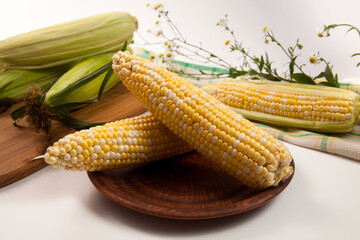 Clay plate with two cobs sweet corn on white wooden background..
