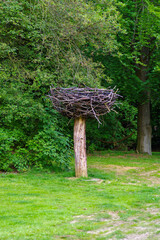 stork nest