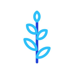 Fototapeta premium plant