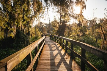Scenic view of a wooden pathway in a green park at sunset