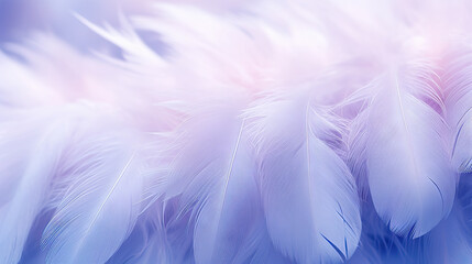  a close up of a white feather on a blue background.  generative ai