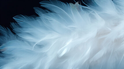  a close up of a white feather on a black background.  generative ai