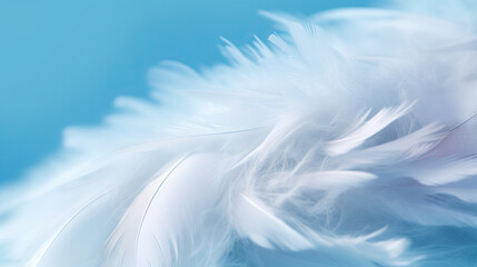  a close up of a white feather on a blue background.  generative ai