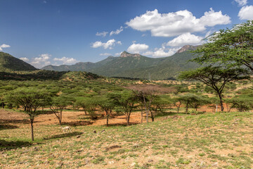 Landscape near South Horr village, Kenya