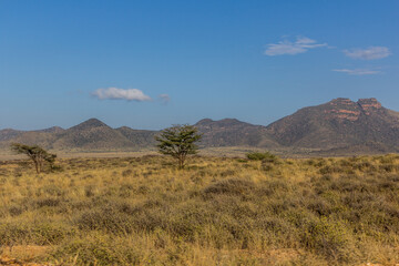 Landscape near South Horr village, Kenya