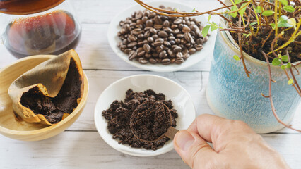 観葉植物とコーヒー豆かす｜コーヒー豆の残りカスの再利用　イメージ