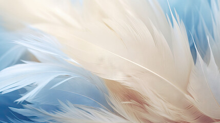 Fototapeta na wymiar a close up of a blue and white feather background with a blurry background. generative ai