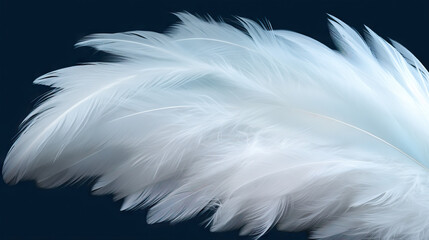  a white feather on a black background with a blue background.  generative ai