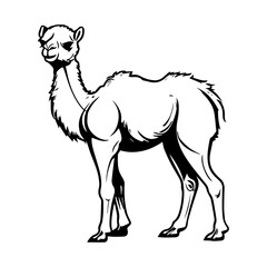cute baby camel Monochrome illustration, Camel silhouette design, Generative AI.