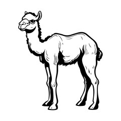 cute baby camel Monochrome illustration, Camel silhouette design, Generative AI.