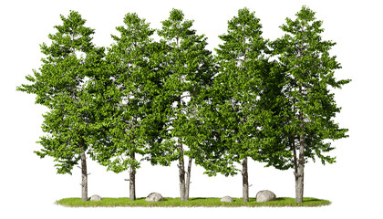 Ecological trees scape on grass front view transparent background 3d render png
