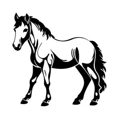 Obraz na płótnie Canvas cute baby horse Monochrome illustration, Horse silhouette design, Generative AI.