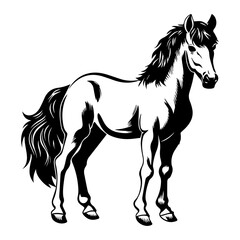 Naklejka na ściany i meble cute baby horse Monochrome illustration, Horse silhouette design, Generative AI.