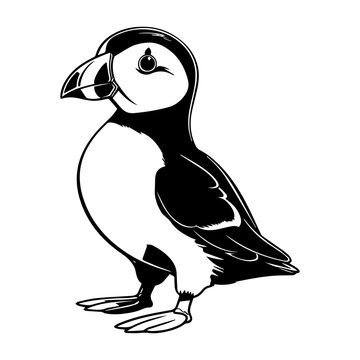 recommend clip art: baby puffin Monochrome illustration, cute baby puffin silhouette design, Generative AI.