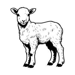cute baby sheep Monochrome illustration, Sheep silhouette design, Generative AI.