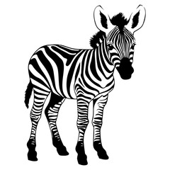 cute baby zebra Monochrome illustration, Zebra silhouette design, Generative AI.