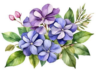Watercolor periwinkle color flowers with green leaves arrangement in bouquet. Flower element for decoration.