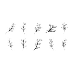 Hand Drawn Floral Outline