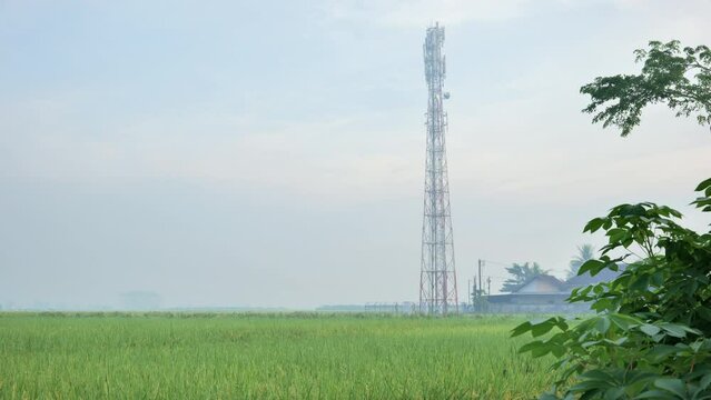 Cell phone signal transmitting towers stand tall in the middle of rice fields and near houses in rural Jember Indonesia on a misty morning