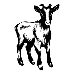 Obraz na płótnie Canvas cute baby Goat Monochrome illustration, baby Goat silhouette design, Generative AI.