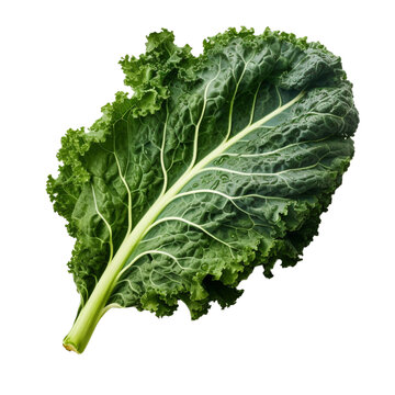 kale with transparent background.