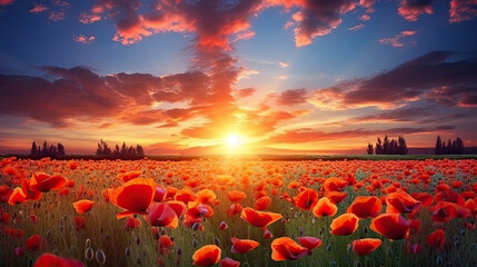  a field full of red flowers with the sun setting in the background.  generative ai