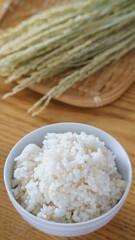 白い御飯と稲穂