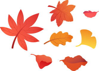 Autumn Illustration
