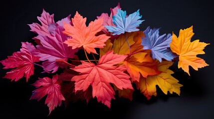 Naklejka na ściany i meble a bunch of colorful leaves on a black background with a black background. generative ai