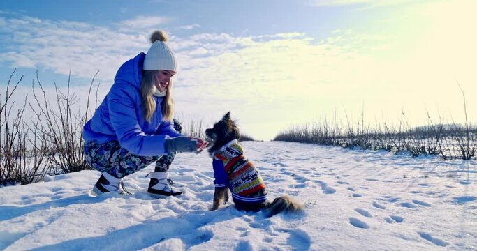Dogs without undercoats should wear jackets in winter.